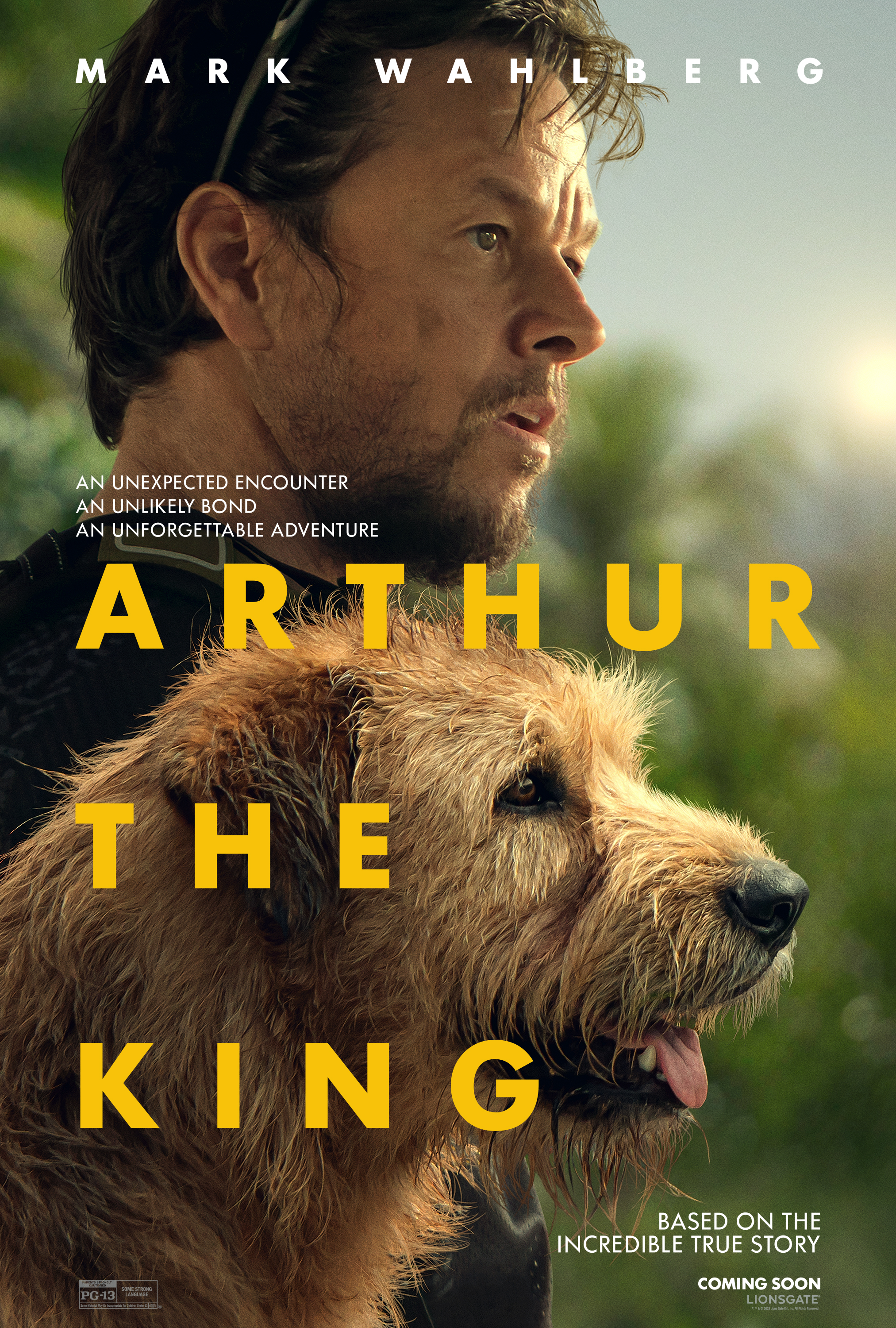 poster movie Arthur the King