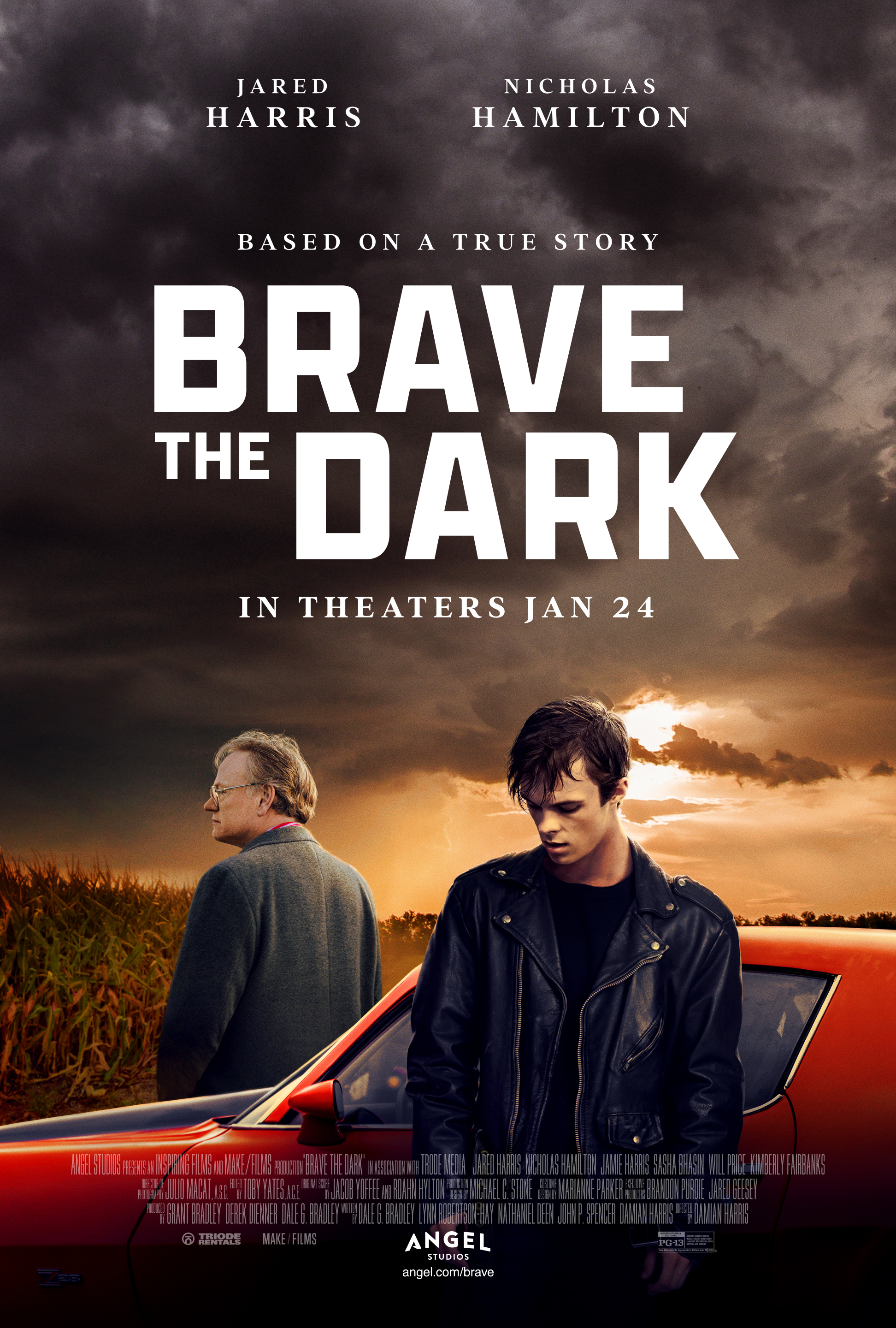 poster movie Brave the Dark