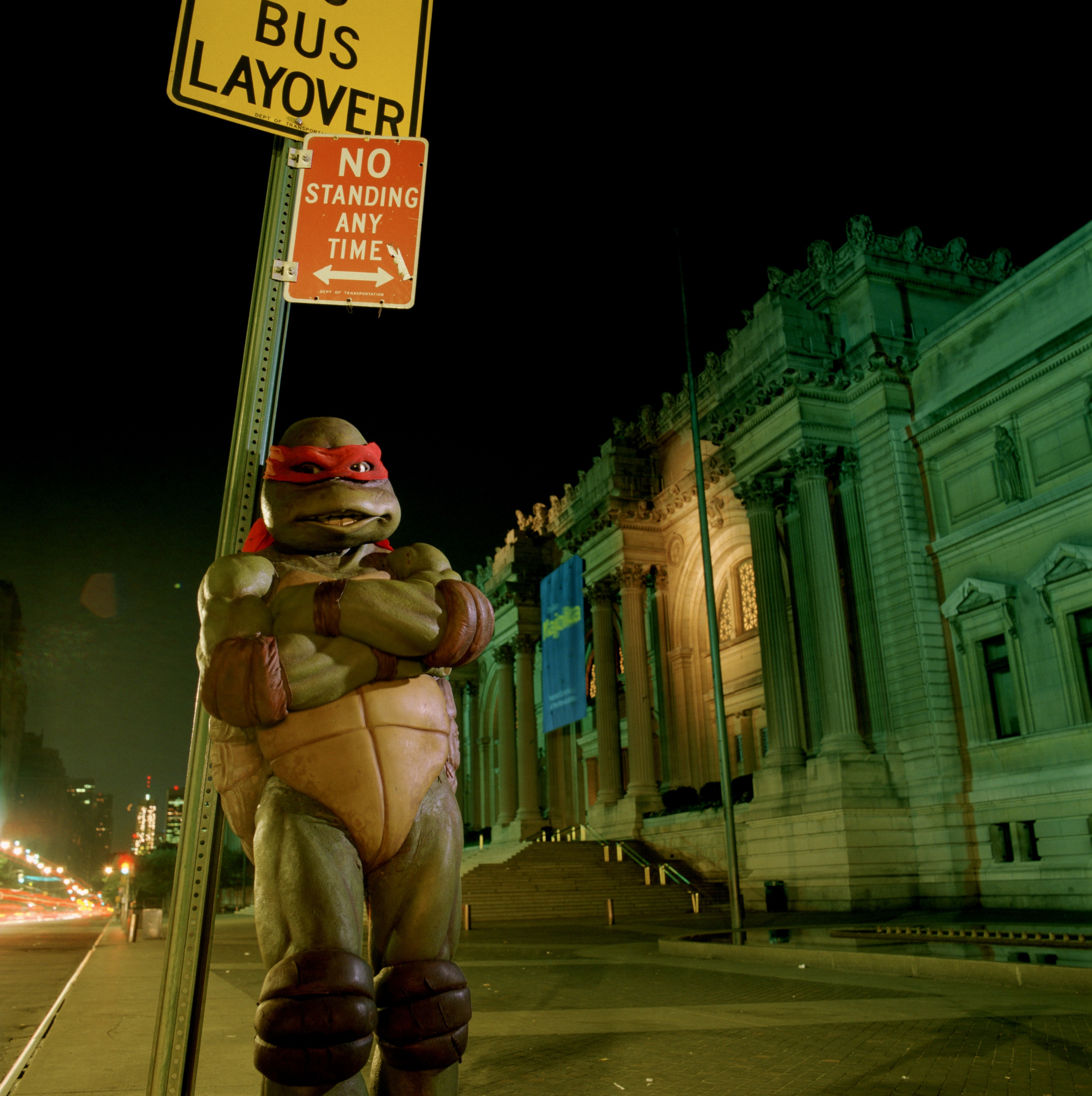 Teenage Mutant Ninja Turtles 35th Anniversary