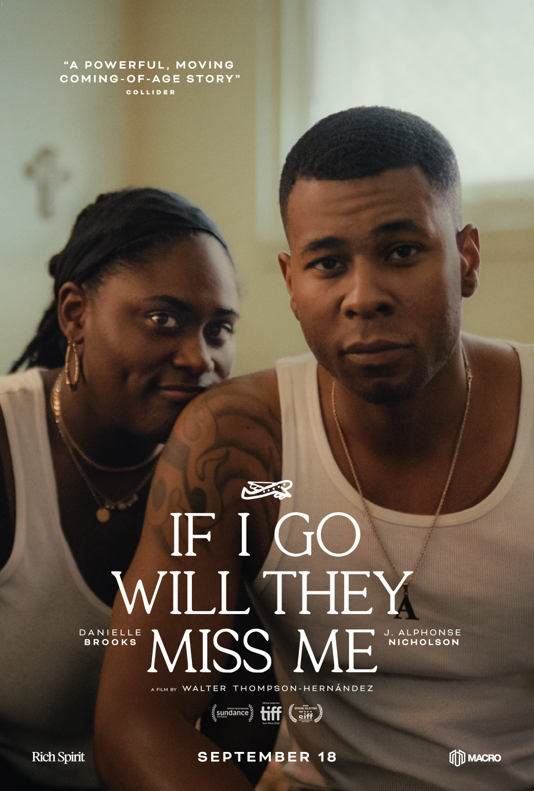 If I Go Will They Miss Me Image
