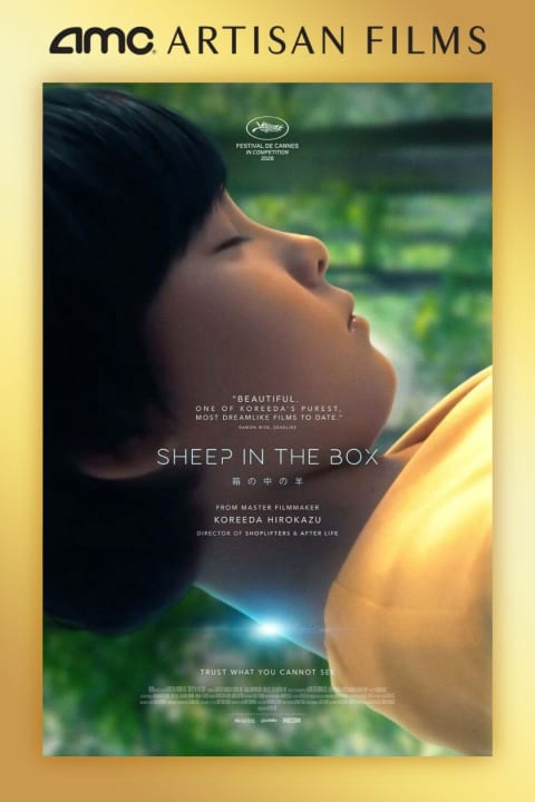 Sheep in the Box poster
